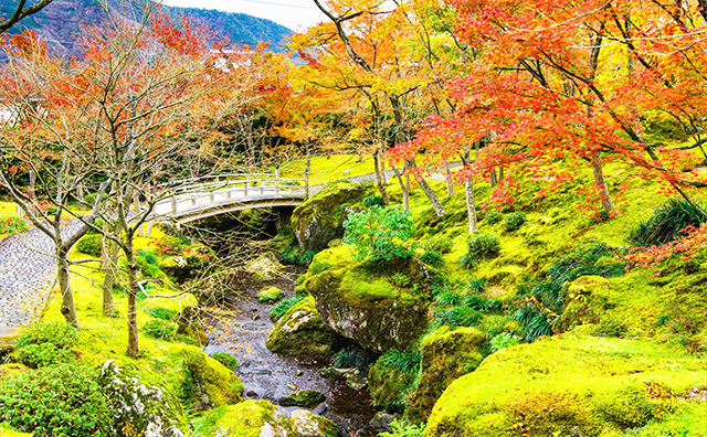 強羅温泉 箱根美術館