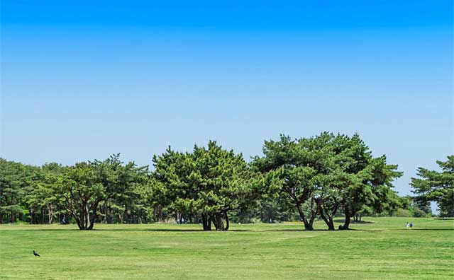 ひたち海浜公園の基本情報