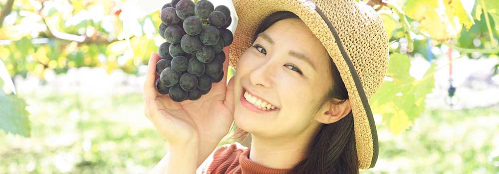 山梨でぶどう狩りするなら勝沼に行こう！おすすめスポット5ヵ所を紹介