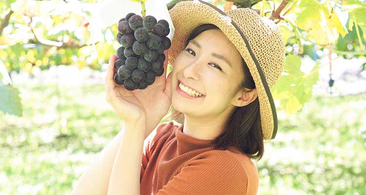 山梨でぶどう狩りするなら勝沼に行こう！おすすめスポット5ヵ所を紹介