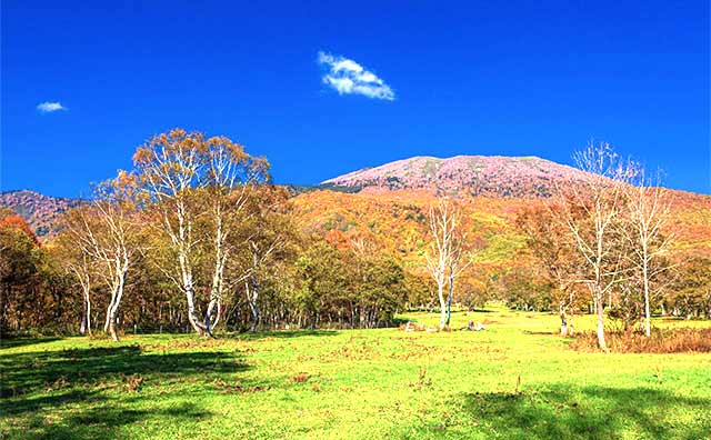 妙高高原