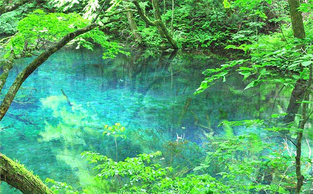 沸壺の池