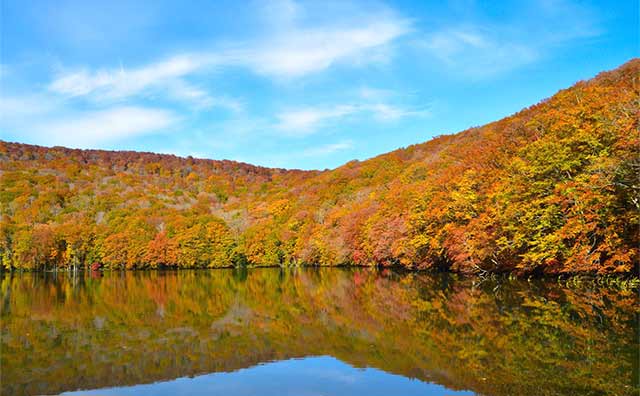 山の麓にある美しい紅葉が見える「蔦沼」