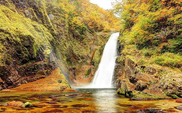 豪快な滝と鮮やかに色づく紅葉のコントラストが圧巻の「秋保大滝」