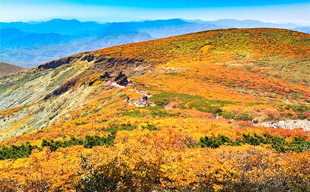 紅葉が一面に広がる「栗駒山」