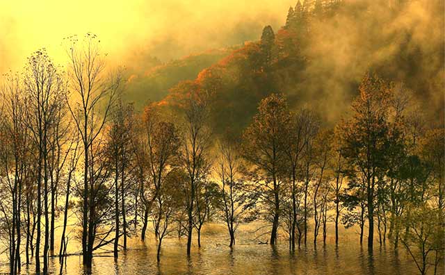 散策でもサイクリングでも紅葉鑑賞できる「錦秋湖」