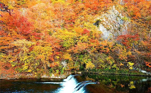 船から見上げる紅葉は迫力いっぱい！「猊鼻渓」
