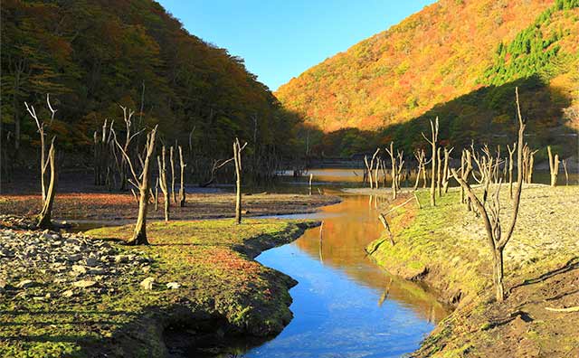 絵の具で描いたような紅葉の色どりが心に残る「仙人峠」