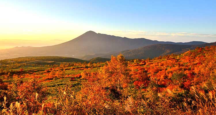 岩手の紅葉スポットには新幹線で行こう！秋がもっと楽しくなるおすすめの場所を紹介