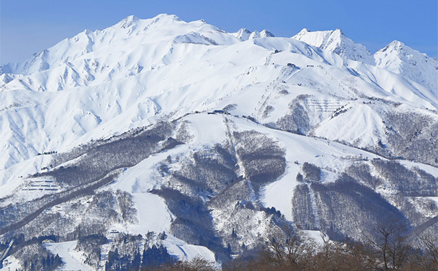 白馬八方尾根スキー場