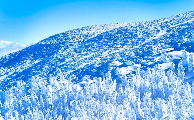 【冬の東北観光】雪国ならではの絶景14選。雪景色と温泉に癒される旅へ