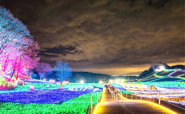 東京ドイツ村