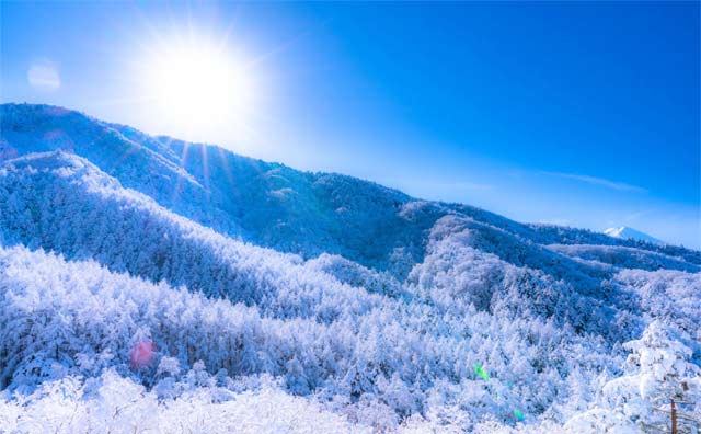 甲信越の冬の絶景の魅力