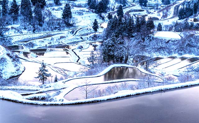 星峠の棚田（新潟県）