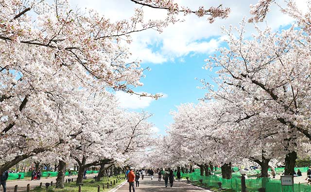 万博記念公園