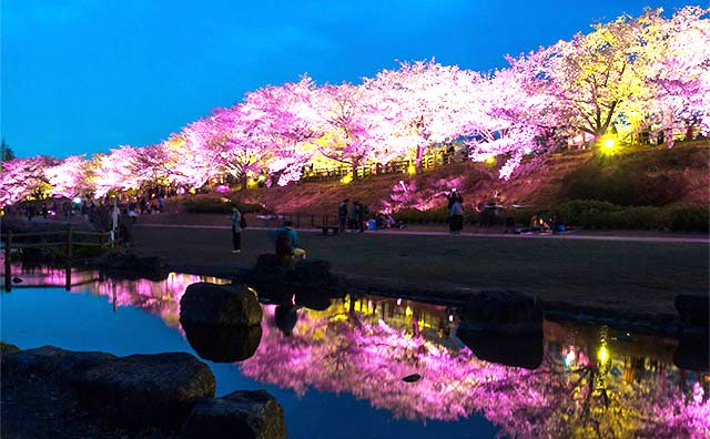 打上川治水緑地