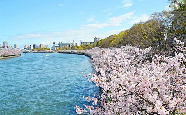 毛馬桜之宮公園