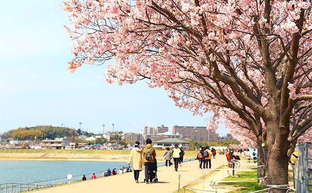 狭山池公園