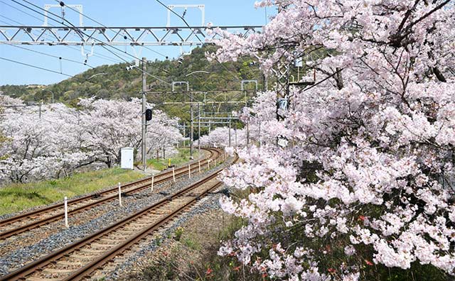 山中渓