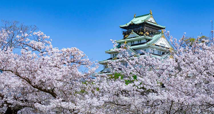 大阪の桜の名所が知りたい！春の風物詩は人気スポットとセットで楽しもう