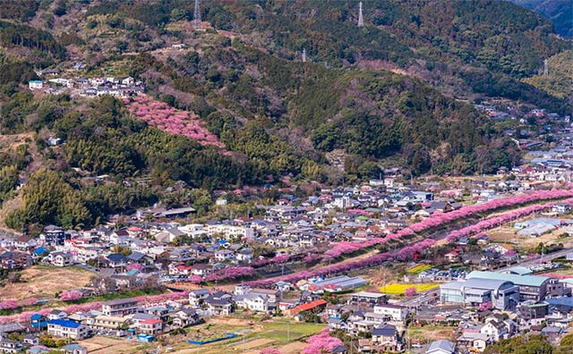 河津城跡公園
