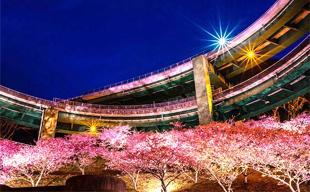 河津七滝ループ橋