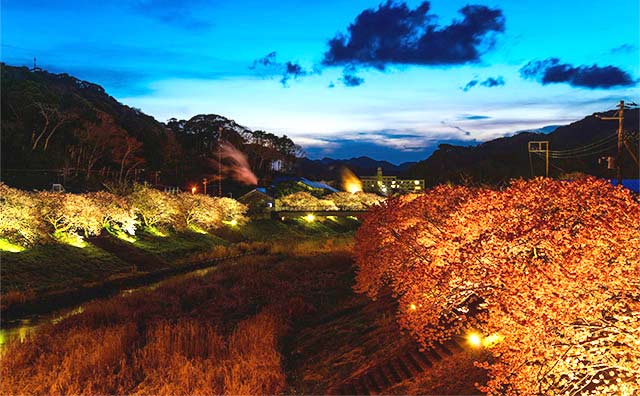 青野川