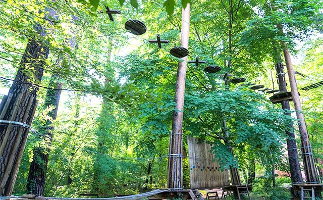 緑豊かな自然で遊ぼう「森の空中散歩」
