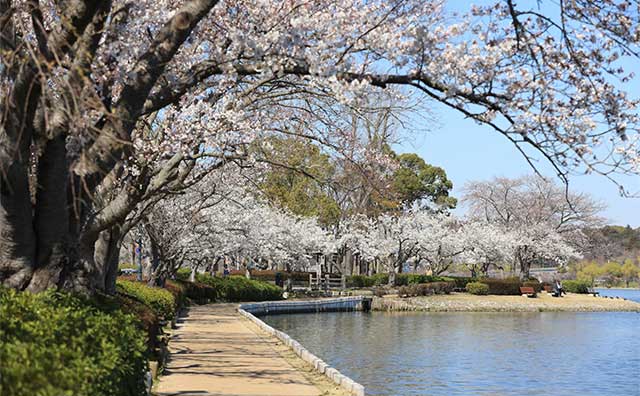 千波公園