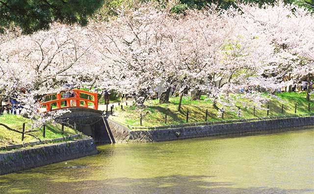 亀城公園