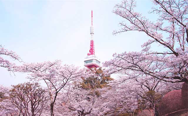 八幡山公園