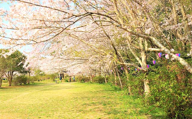 小見川城山公園