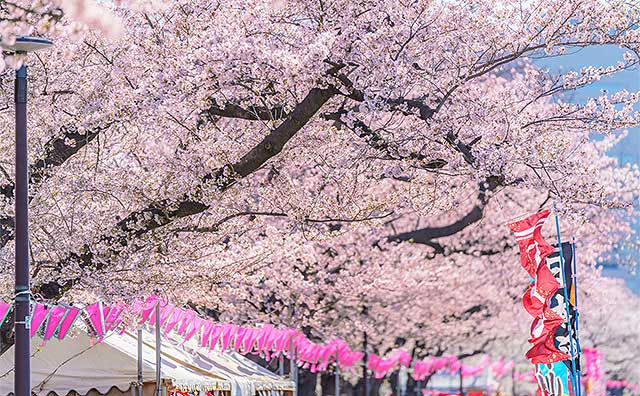 隅田公園