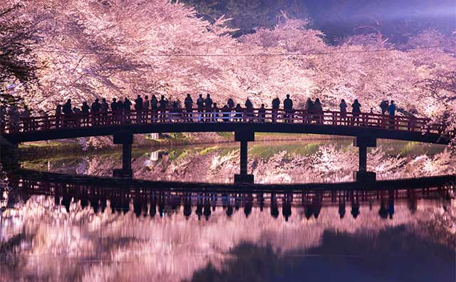 夜の春陽橋