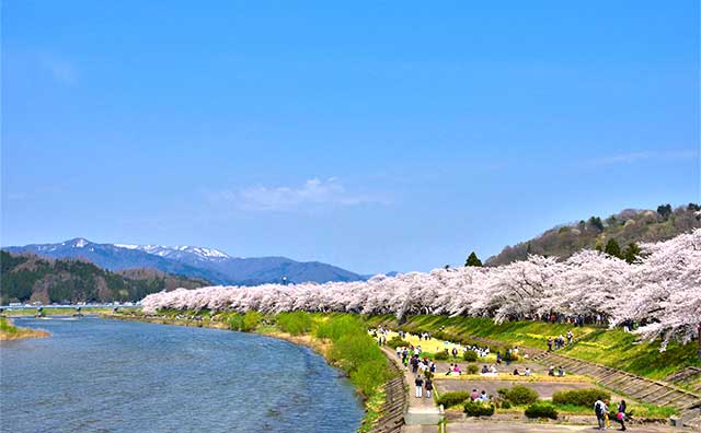 角館桜まつりはどのようなイベント？