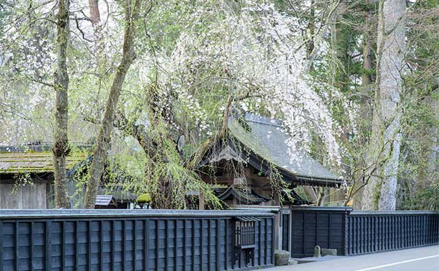 角館歴史村・青柳家