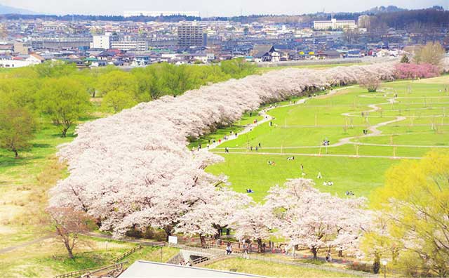 北上展勝地さくらまつりはどのようなイベント？