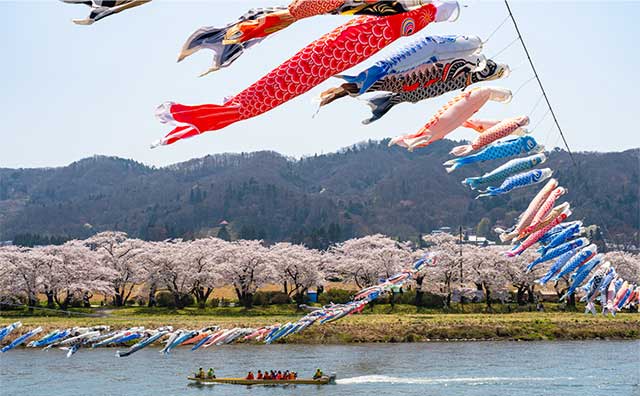 北上川のこいのぼり掲揚