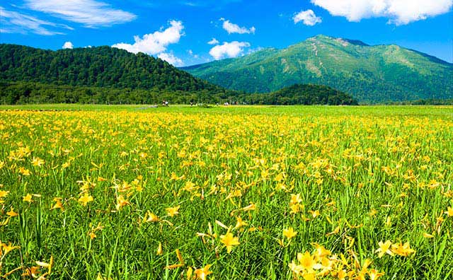 夏