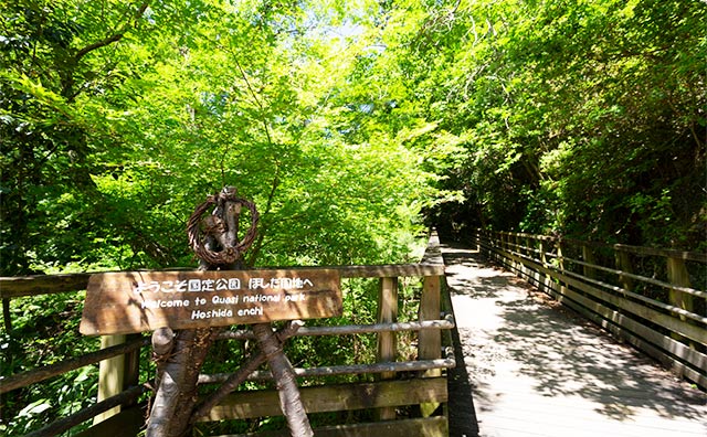 ほしだ園地