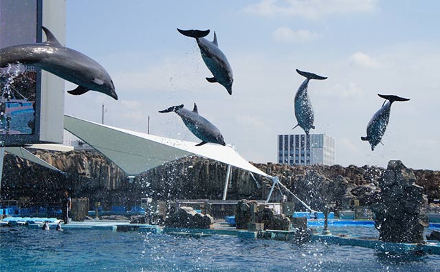  夏休みの家族旅行は名古屋へGO！新幹線で東京からでもアクセス良好