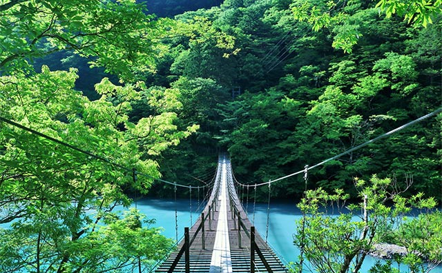 寸又峡／夢のつり橋