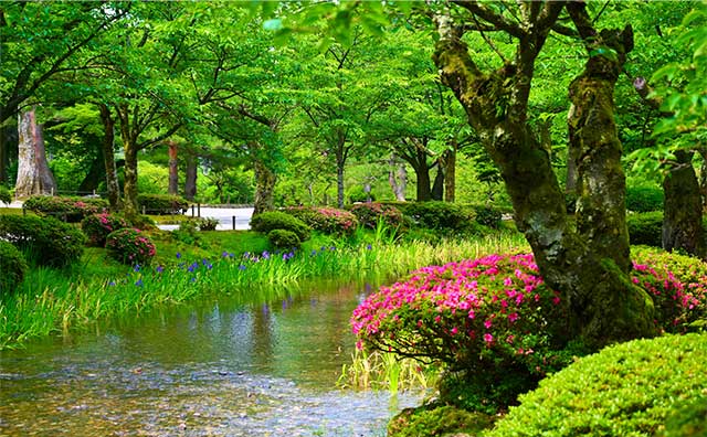 夏は植物や水辺を散歩しよう