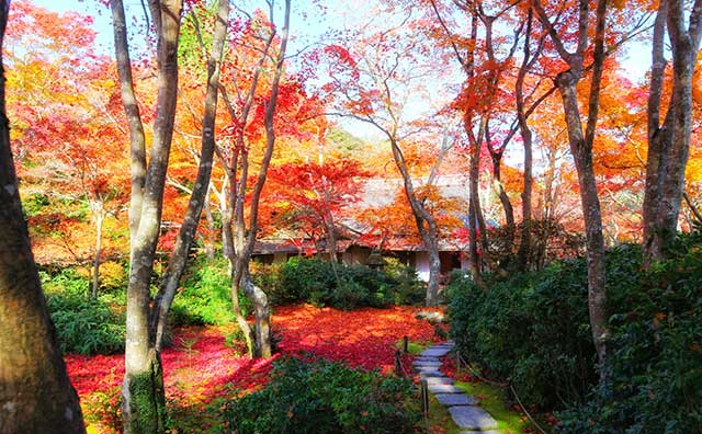 大河内山荘庭園