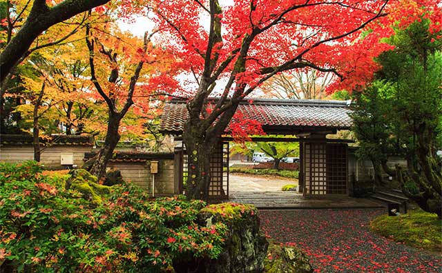 しょうざんリゾート京都