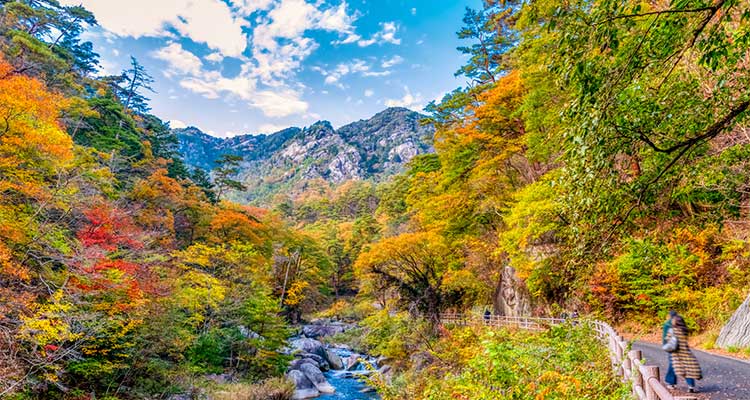 昇仙峡ならライトアップも楽しめる！紅葉スポットや見頃を紹介