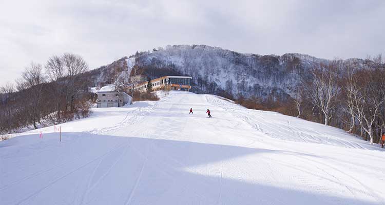 湯沢高原スキー場近くのホテル10選！アクセス便利な人気の宿を紹介