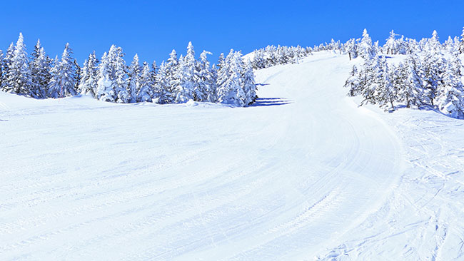 スキー&スノーボード 2025-2026